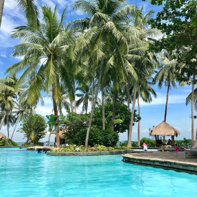 people in outdoor pool with coconut palm trees
