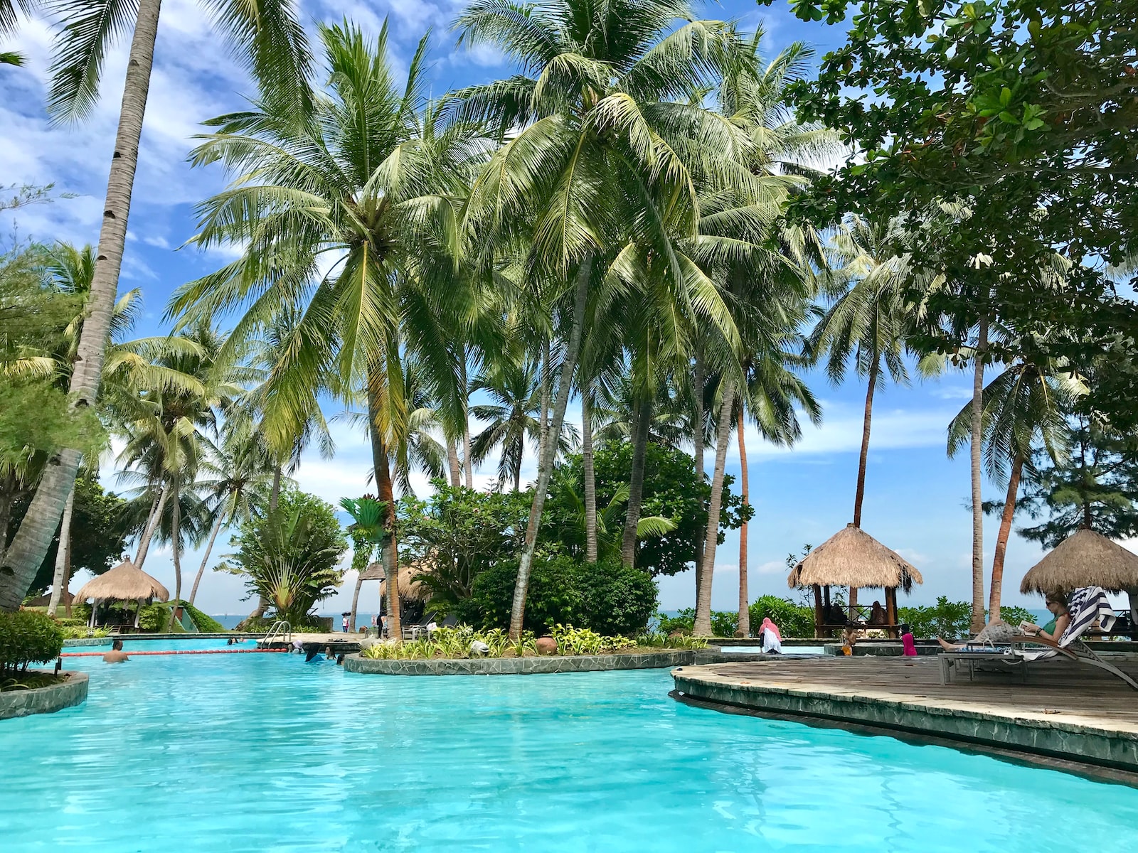 people in outdoor pool with coconut palm trees