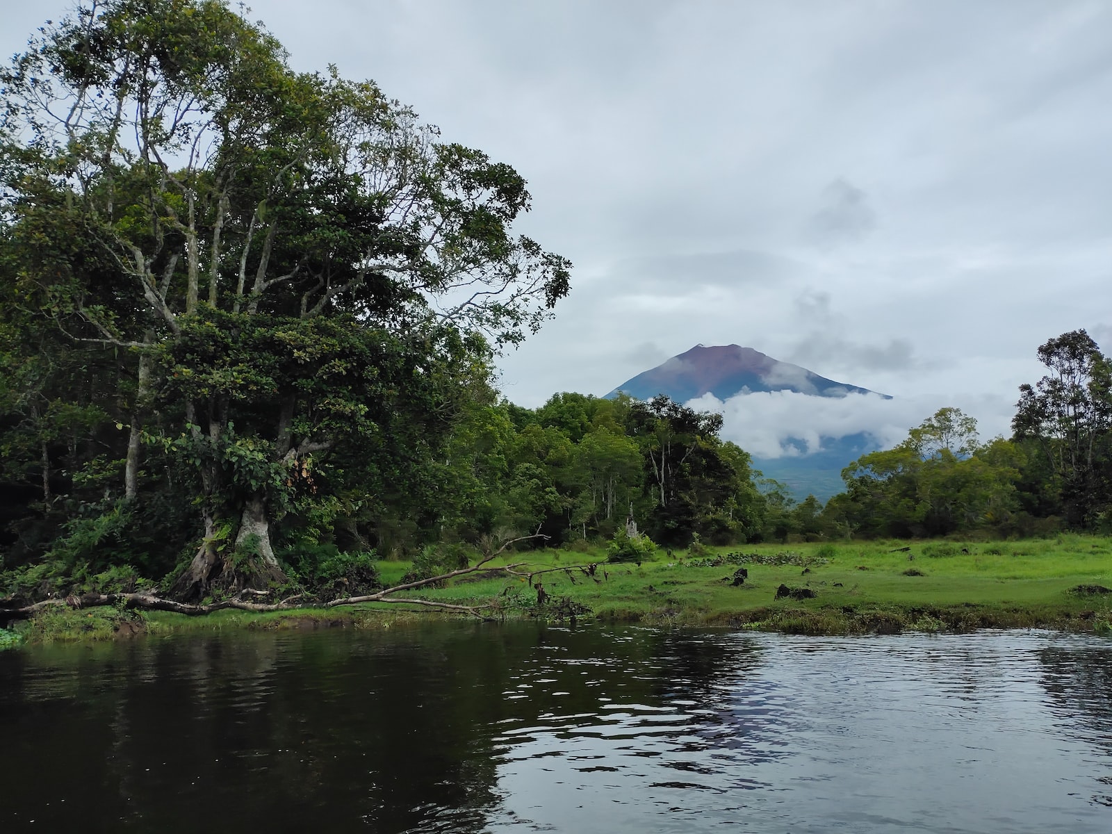green trees near lake under white clouds during daytime