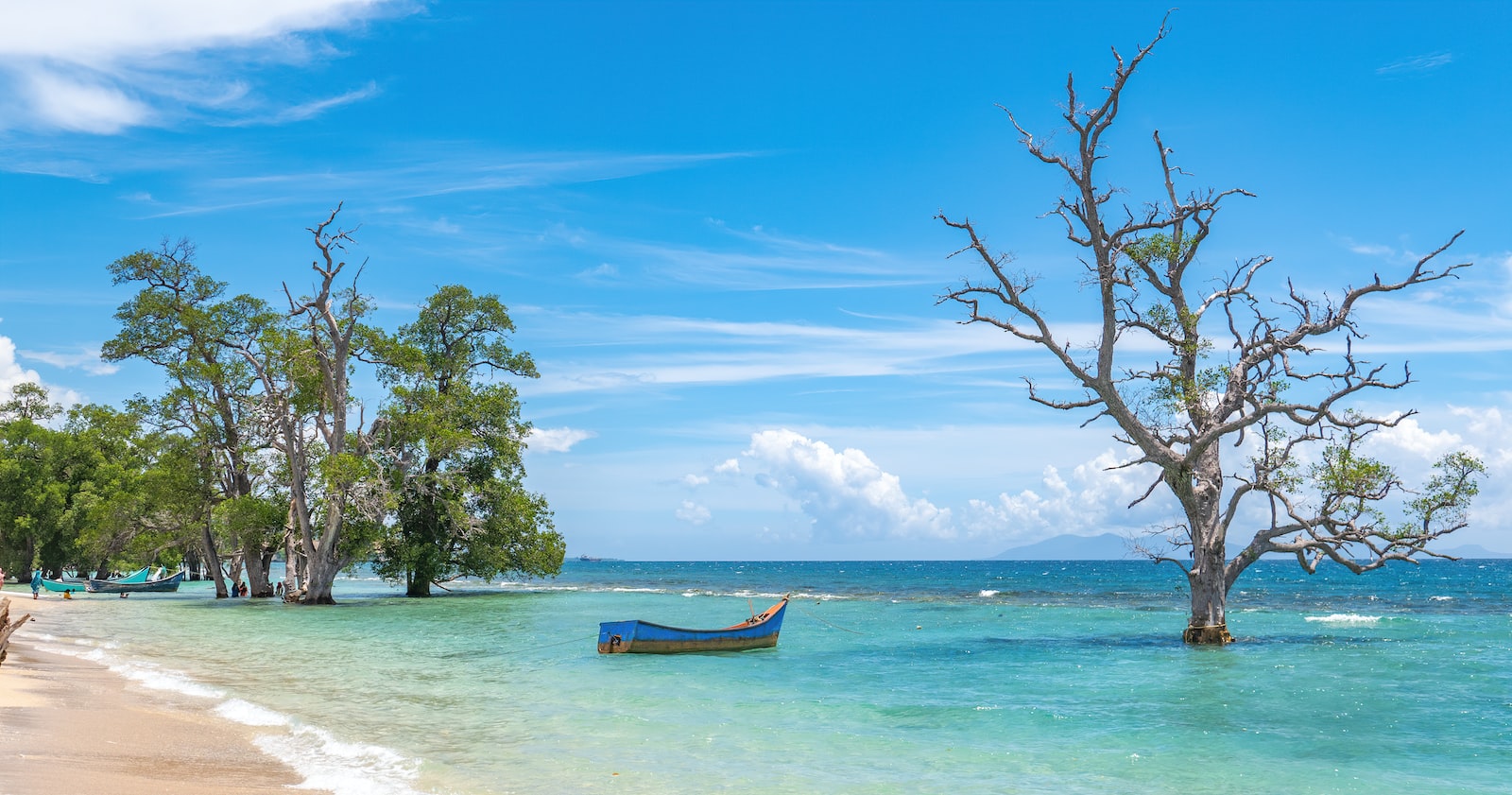 brown boat on sea shore during daytime