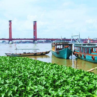 green and blue boat on water near red bridge during daytime